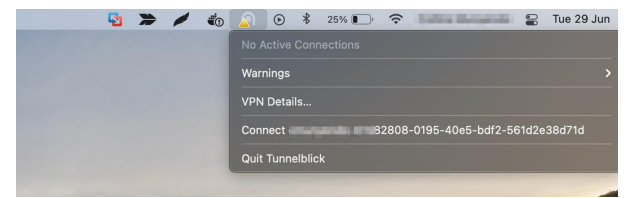 Connecting to VPN – CYBER RANGES (EN)